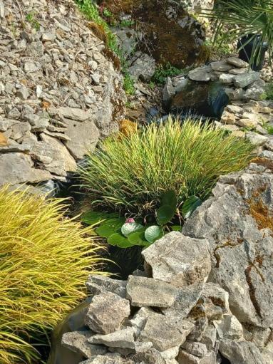 Les Allumettes D'Ecorsaint Luaran gambar